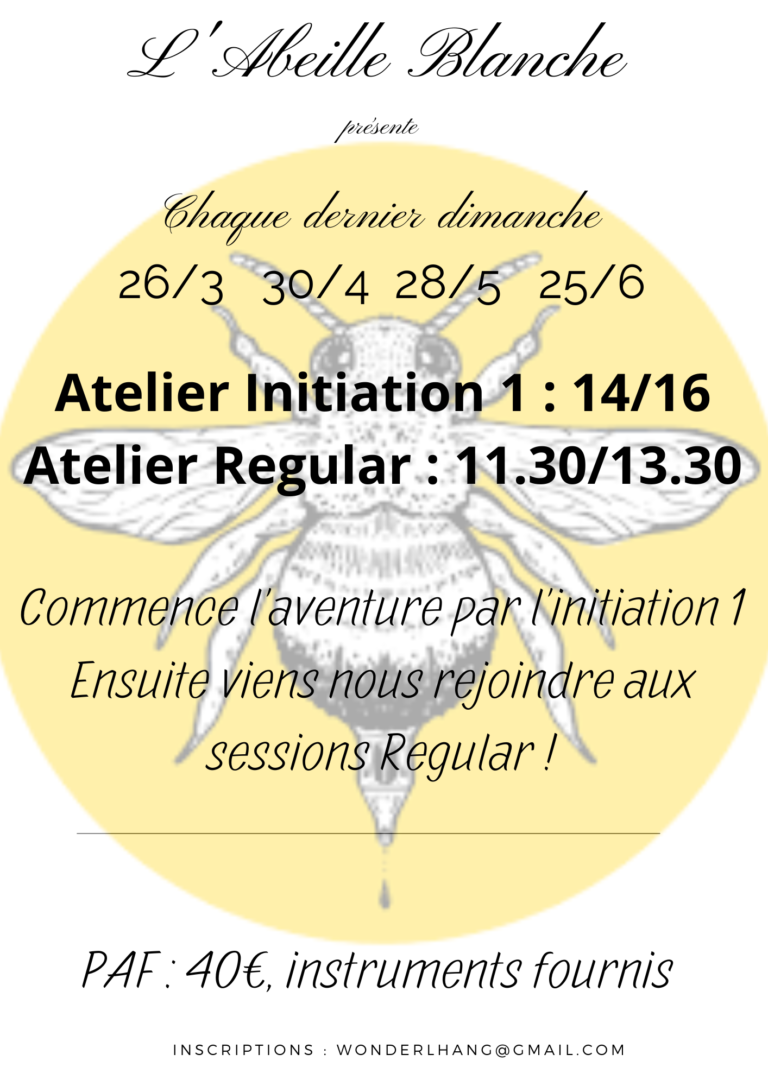 Atelier handpan Initiation et regular