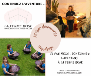 ferme rose handpan
